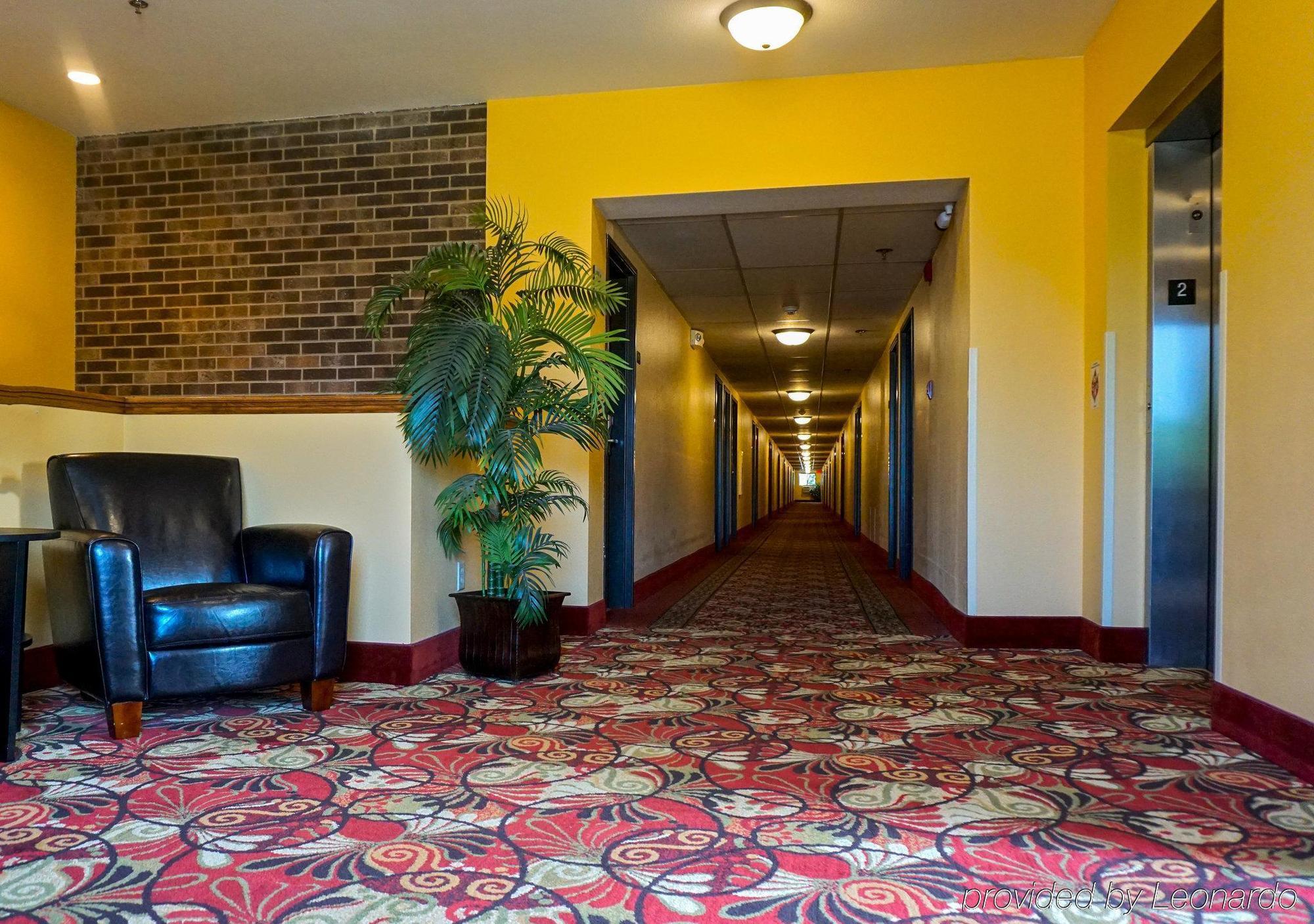 Econo Lodge Mayo Clinic Area Rochester Dış mekan fotoğraf